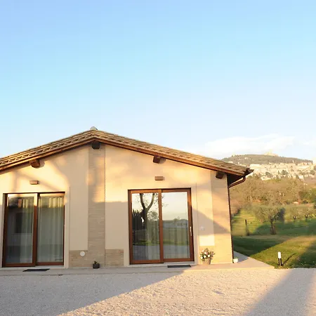 Il Granaio Di Rossetti Elisabetta Assisi